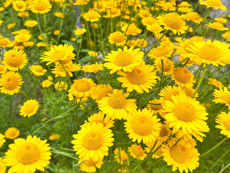 24-06-24 16-00-53 9860